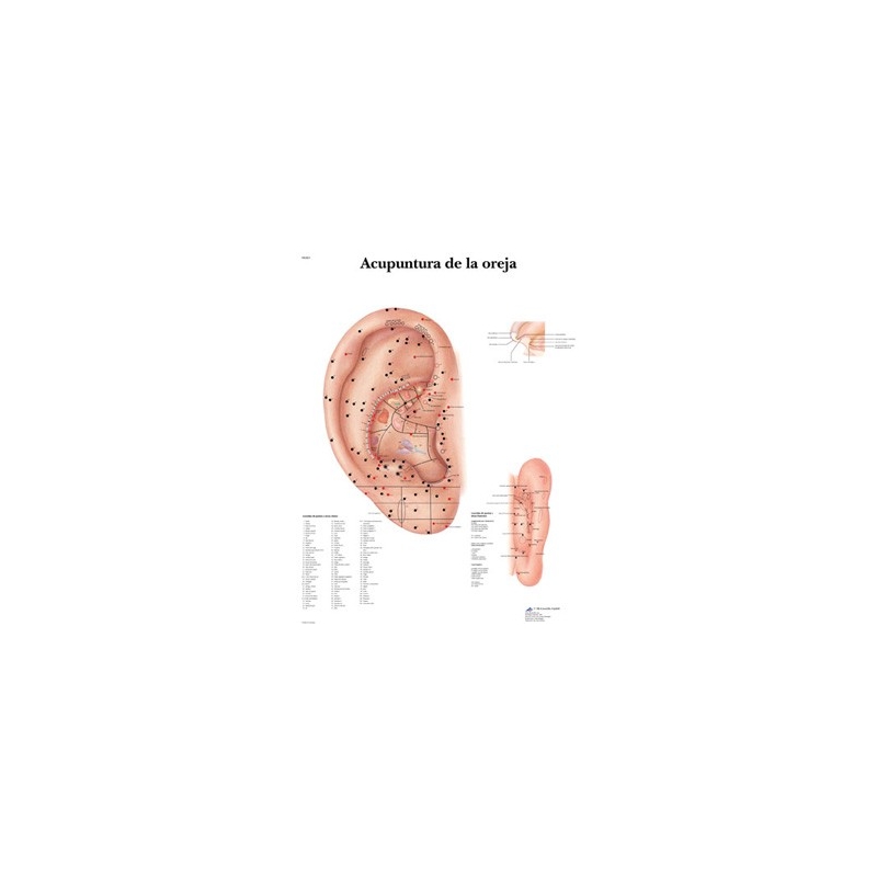 Acupuntura de la Oreja