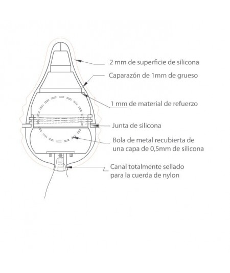 Pelvix-Concept