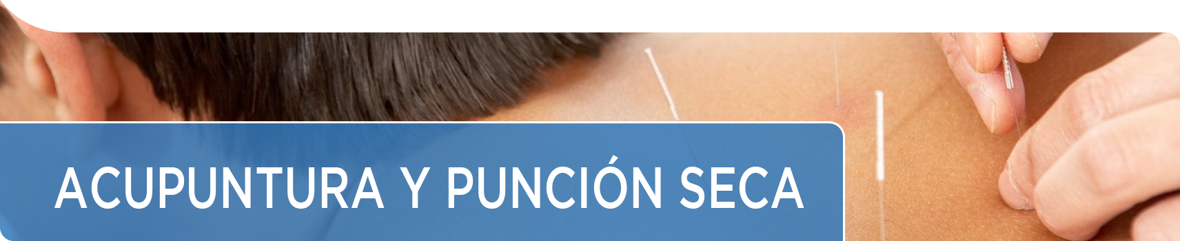 Acupuntura y Punción Seca | Comprar agujas para acupuntura