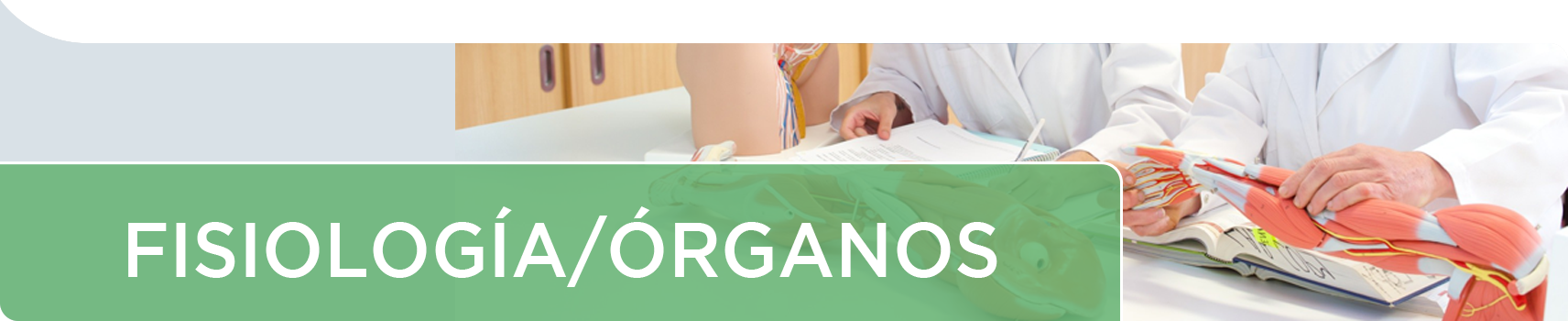 Fisiologia Organos