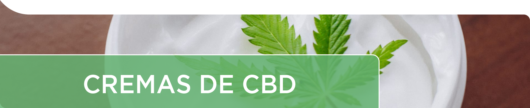 Cremas con CBD de la planta del cannabis, con cannabidiol