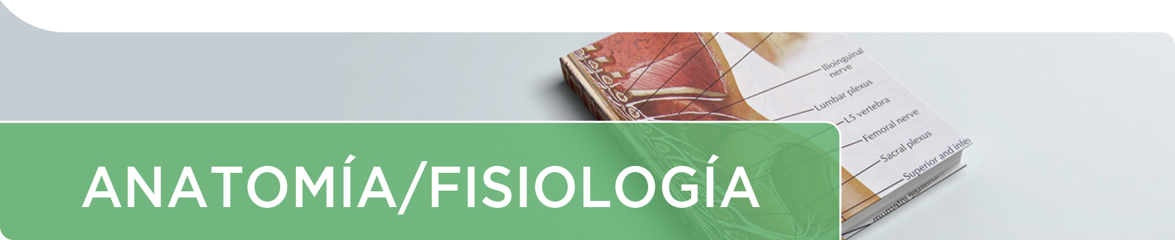 Anatomia/Fisiologia